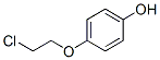 100238-55-9,4-(2-CHLOROETHOXY)PHENOL