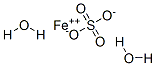 10028-21-4,IRON(II) SULFATE DIHYDRATE