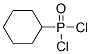 1005-22-7,CYCLOHEXYLPHOSPHONIC DICHLORIDE