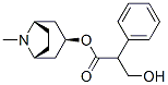 101-31-5,L-Hyoscyamine