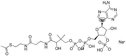 102029-73-2,Acetyl coenzyme A sodium salt