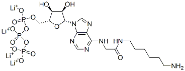 102185-24-0,N6-([6-AMINOHEXYL]CARBAMOYL-METHYL)ADENOSINE 5'-TRIPHOSPHATE LITHIUM SALT