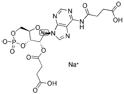 102783-27-7,N6,2'-O-DISUCCINYLADENOSINE 3':5'-CYCLIC MONOPHOSPHATE SODIUM SALT