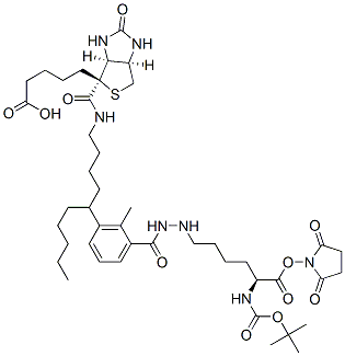 102910-27-0,N2-t-Boc-N6-(biotinamido-6-N-caproylamido)lysine N-Hydroxysuccinimide Ester