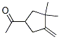 102939-60-6,Ethanone, 1-(3,3-dimethyl-4-methylenecyclopentyl)- (9CI)