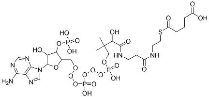 103192-48-9,GLUTARYL COENZYME A LITHIUM SALT