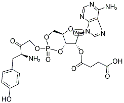 104809-08-7,2'-O-MONOSUCCINYLADENOSINE 3':5'-CYCLIC MONOPHOSPHATE TYROSYL METHYL ESTER