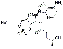 104809-11-2,2'-O-MONOSUCCINYLADENOSINE-3',5'-CYCLIC MONOPHOSPHATE SODIUM SALT