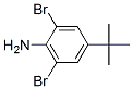 10546-67-5,2,6-Dibromo-4-tert-butylaniline