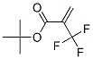 105935-24-8,T-BUTYL 2-(TRIFLUOROMETHYL)ACRYLATE