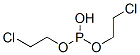 1070-42-4,BIS(2-CHLOROETHYL)PHOSPHITE