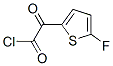 107748-10-7,2-Thiopheneacetyl chloride, 5-fluoro-alpha-oxo- (9CI)