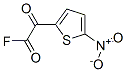 107748-18-5,2-Thiopheneacetyl fluoride, 5-nitro-alpha-oxo- (9CI)