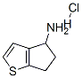 108046-27-1,5,6-DIHYDRO-4H-CYCLOPENTA[B]THIOPHEN-4-YLAMINE HYDROCHLORIDE