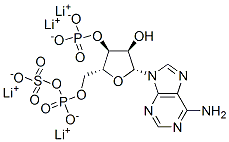 109434-21-1,ADENOSINE 3'-PHOSPHATE 5'-PHOSPHOSULFATE  LITHIUM