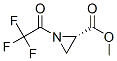 111193-38-5,2-Aziridinecarboxylic acid, 1-(trifluoroacetyl)-, methyl ester, (S)- (9CI)