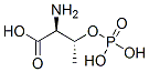 1114-81-4,O-PHOSPHO-L-THREONINE