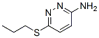 113121-36-1,3-Amino-6-(propylthio)pyridazine