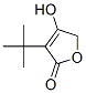 114908-93-9,3-TERT-BUTYL-4-HYDROXYFURAN-2(5H)-ONE