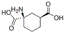 115730-36-4,1,3-Cyclohexanedicarboxylicacid,1-amino-,(1R-trans)-(9CI)
