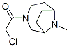 115748-98-6,3,9-Diazabicyclo[4.2.1]nonane, 3-(chloroacetyl)-9-methyl- (9CI)