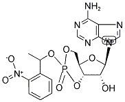 116271-32-0,ADENOSINE 3',5'-CYCLIC MONOPHOSPHATE, P1-(2-NITROPHENYL)ETHYL ESTER