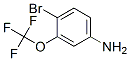 116369-25-6,4-BROMO-3-TRIFLUOROMETHOXY-PHENYLAMINE