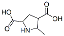 117835-09-3,5-METHYL-2,4-PYRROLIDINEDICARBOXYLIC ACID