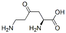 118021-34-4,L-Lysine, 4-oxo- (9CI)