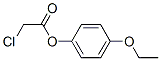 119929-85-0,4-ETHOXYPHENYL CHLOROACETATE