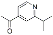123005-19-6,Ethanone, 1-[2-(1-methylethyl)-4-pyridinyl]- (9CI)