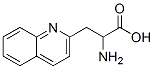 123761-12-6,3-(2-Quinolyl)-DL-alanine