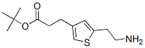 124499-24-7,TERT-BUTYL 3-[5-(2-AMINO-ETHYL)-THIOPHEN-3-YL]-PROPIONATE