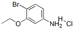 125756-95-8,4-BROMO-3-ETHOXYANILINE HYDROCHLORIDE