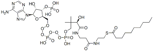 1264-57-9,N-DECANOYL COENZYME A (C10:0)