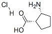 128052-92-6,(1S,2R)-(+)-2-Amino-1-cyclopentanecarboxylic acid hydrochloride