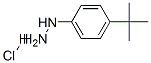 128231-55-0,4-TERT-BUTYLPHENYLHYDRAZINE HYDROCHLORIDE