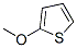 130410-20-7,2-Methoxythiophene