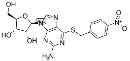 13153-27-0,NBTGR