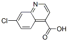 13337-66-1,7-chloroquinoline-4-carboxylic acid