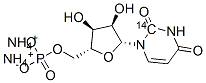 133628-72-5,URIDINE-2-14C 5'-MONOPHOSPHATE AMMONIUM SALT