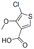 133659-14-0,5-CHLORO-4-METHOXYTHIOPHENE-3-CARBOXYLIC ACID