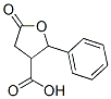 13389-88-3,TETRAHYDRO-5-OXO-2-PHENYLFURAN-3-CARBOXYLIC ACID