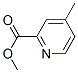 13509-13-2,2-Pyridinecarboxylicacid,4-methyl-,methylester(9CI)