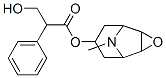 138-12-5,(-)-SCOPOLAMINE