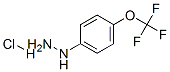 13957-54-5,4-(TRIFLUOROMETHOXY)PHENYLHYDRAZINE HYDROCHLORIDE
