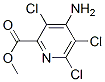 PICLORAM METHYL ESTER 14143-55-6,PICLORAM METHYL ESTER