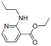 141872-21-1,3-Pyridinecarboxylicacid,2-(propylamino)-,ethylester(9CI)