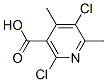 142266-66-8,2,5-Dichloro-4,6-dimethylnicotinic acid