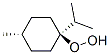 143970-18-7,Hydroperoxide, 4-methyl-1-(1-methylethyl)cyclohexyl, trans- (9CI)